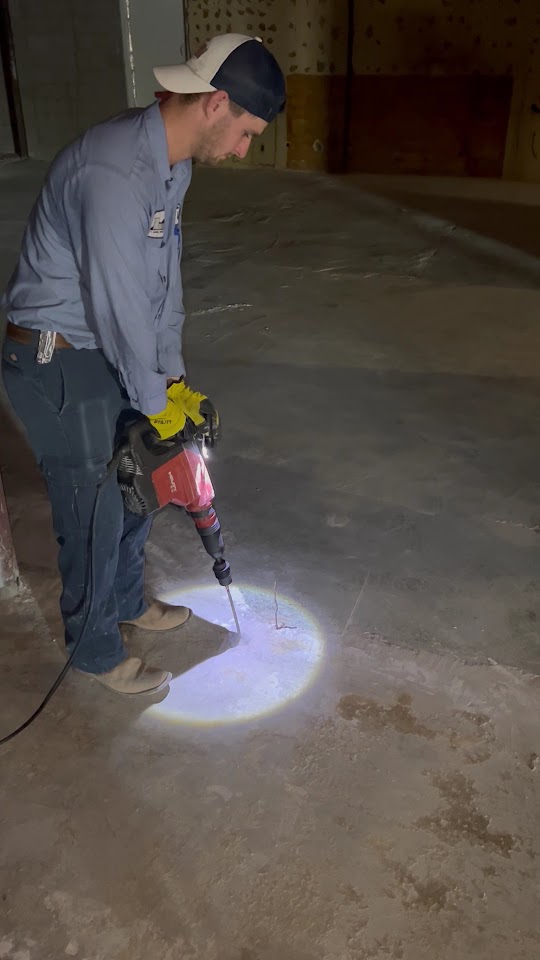 City Wide Pest Control project