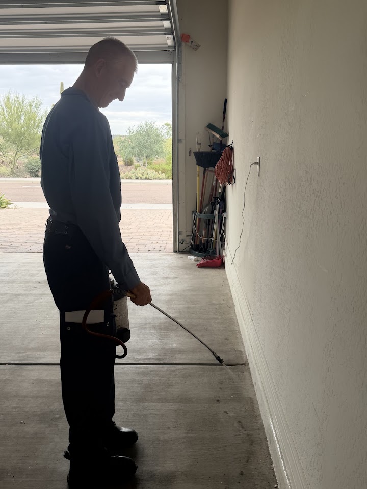 City Wide Pest Control project